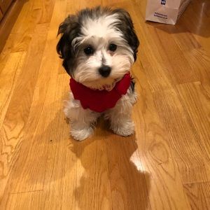 Meet your Posher, Mallory